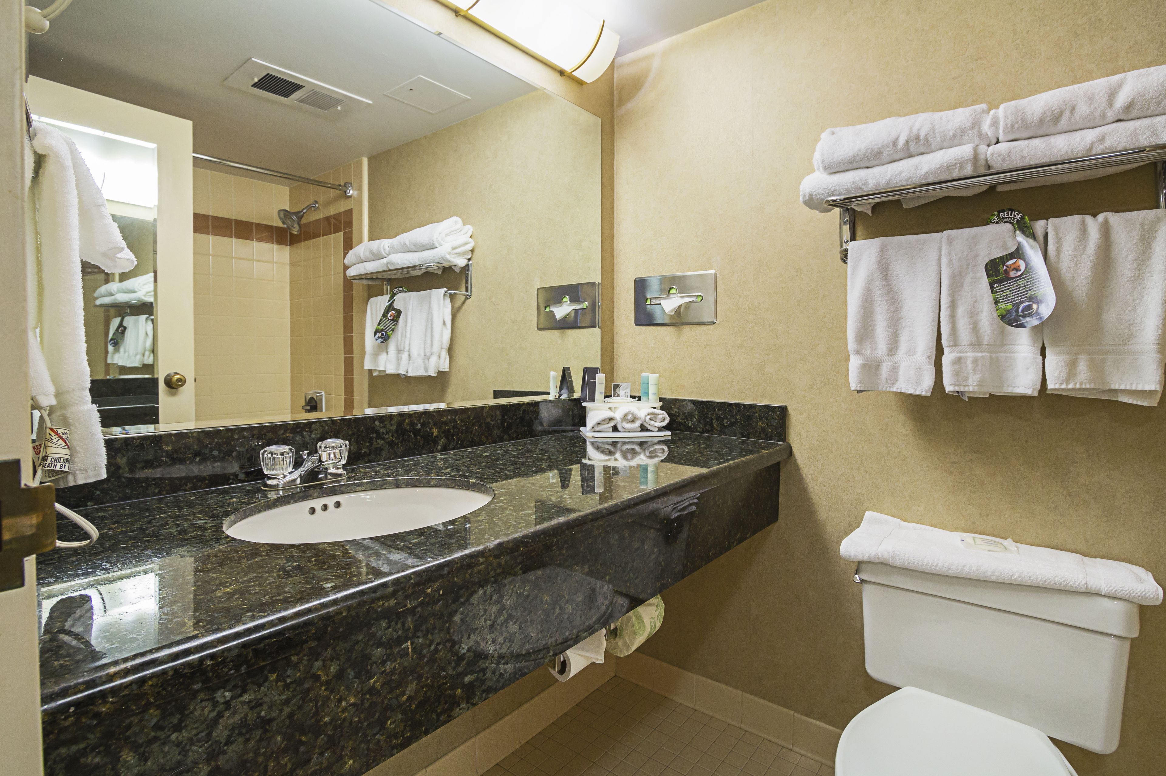 suite, 1 king bed with sofa bed, non smoking | bathroom | combined shower/bathtub, free toiletries, hair dryer, towels