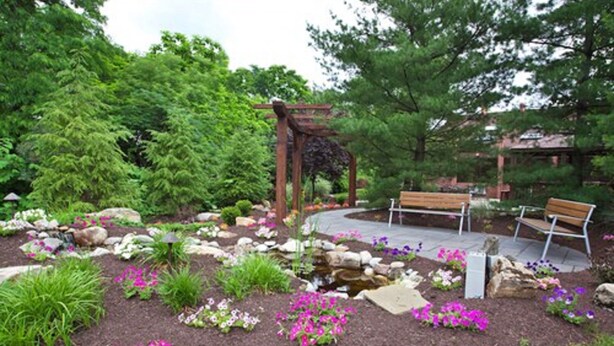 A garden with a wooden pergola, benches, and a small water feature surrounded by various plants and flowers.