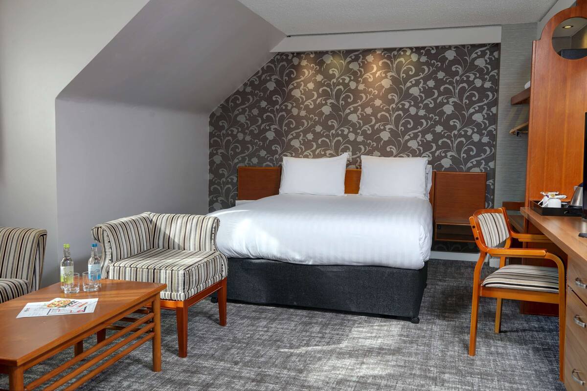 A hotel room with a bed, a sofa, a desk, and a chair.