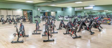 A gym with multiple stationary bikes arranged in rows, a wooden floor, and green walls.