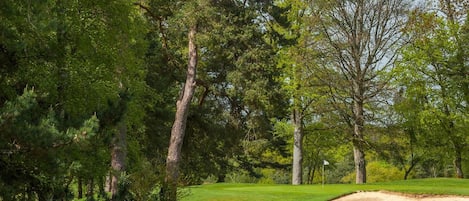 Un campo de golf bien cuidado con césped verde exuberante, un búnker de arena y varios árboles.