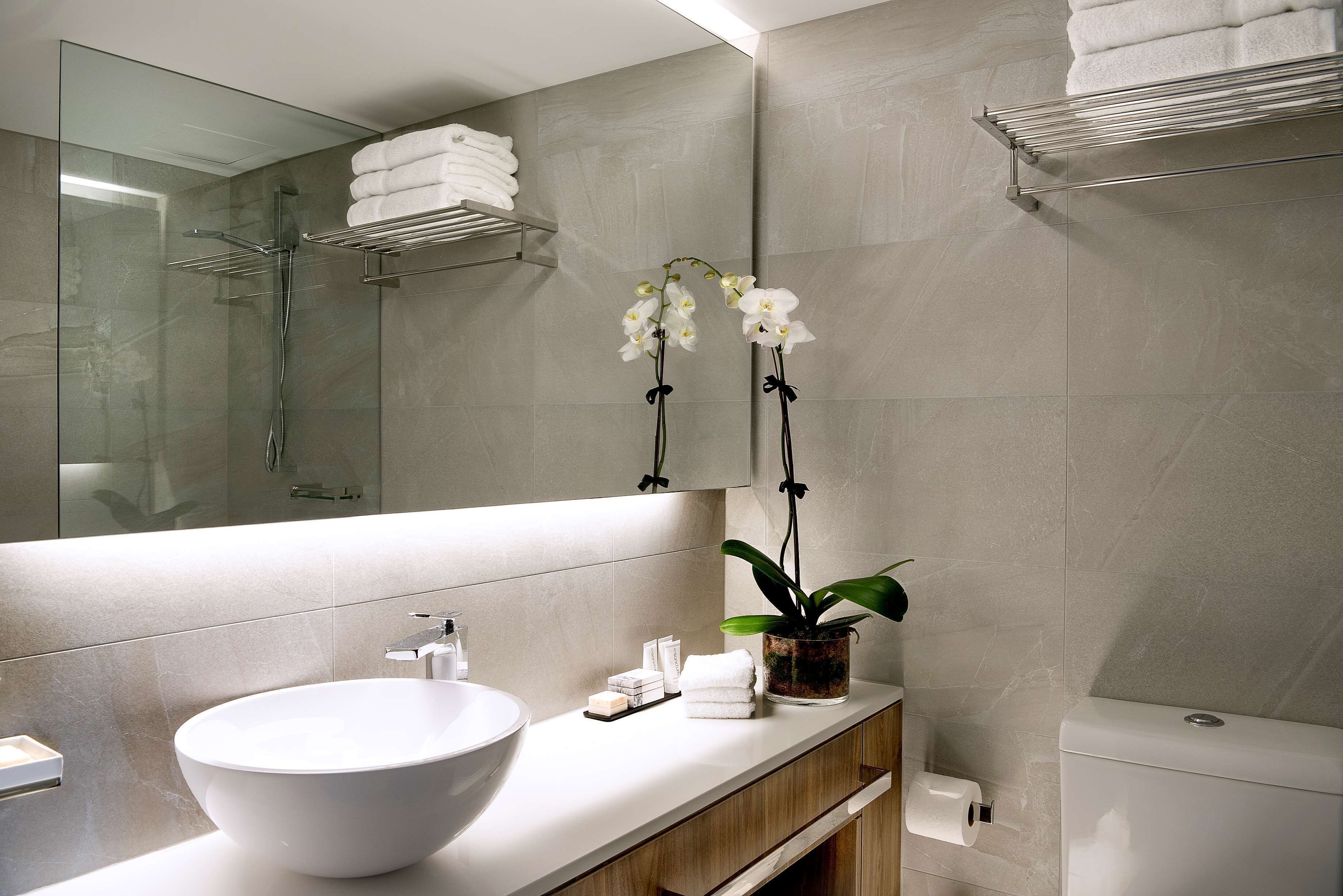 A modern bathroom with a large white sink, a glass shower enclosure, and a mirror reflecting the space.
