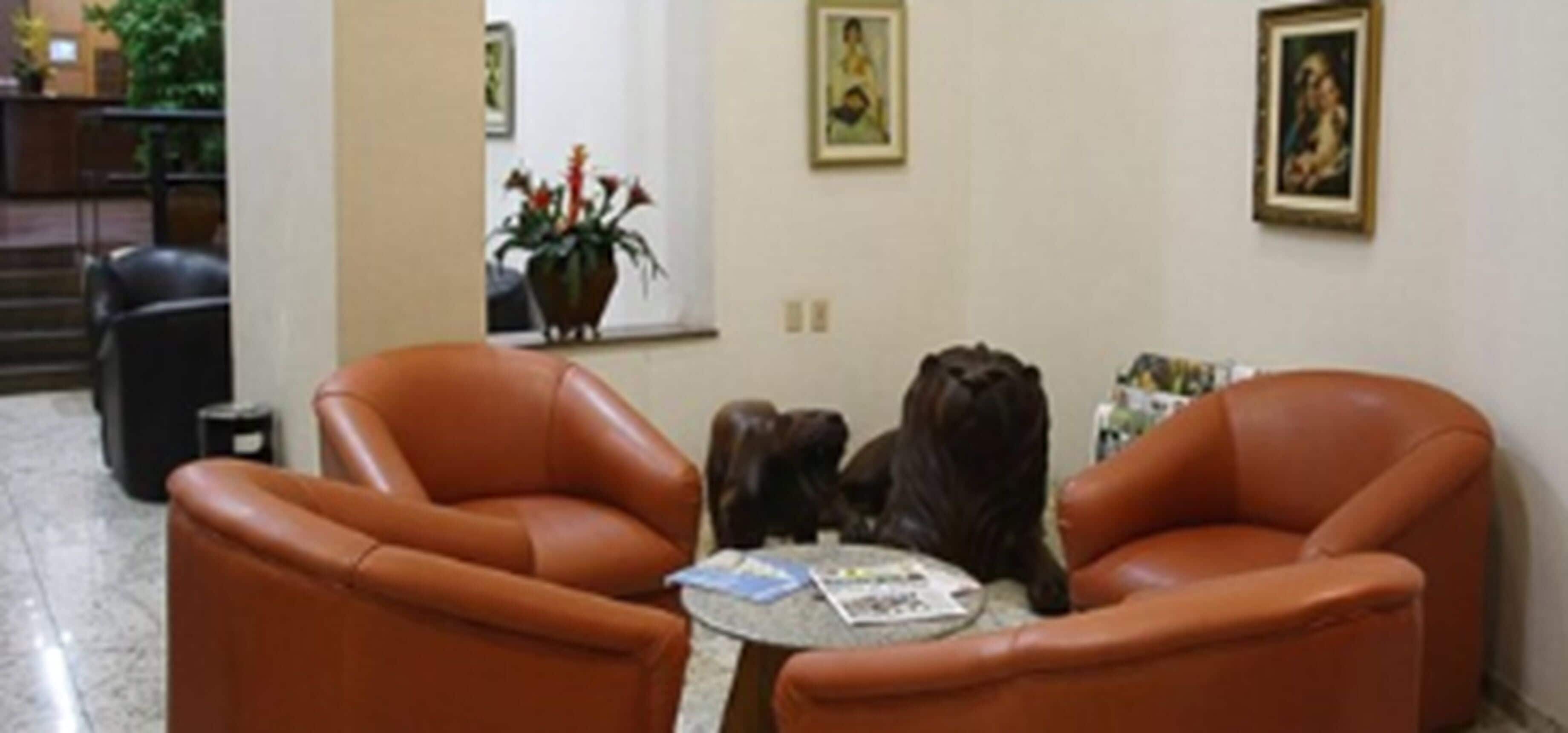 A room with two brown leather chairs facing a small table with a magazine.
