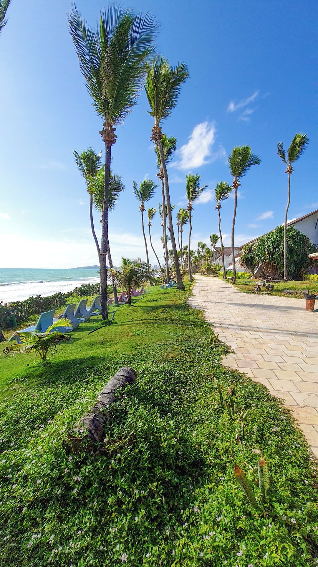 على الشاطئ، رمال بيضاء، مناشف للشاطئ، كرة طائرة على الشاطئ