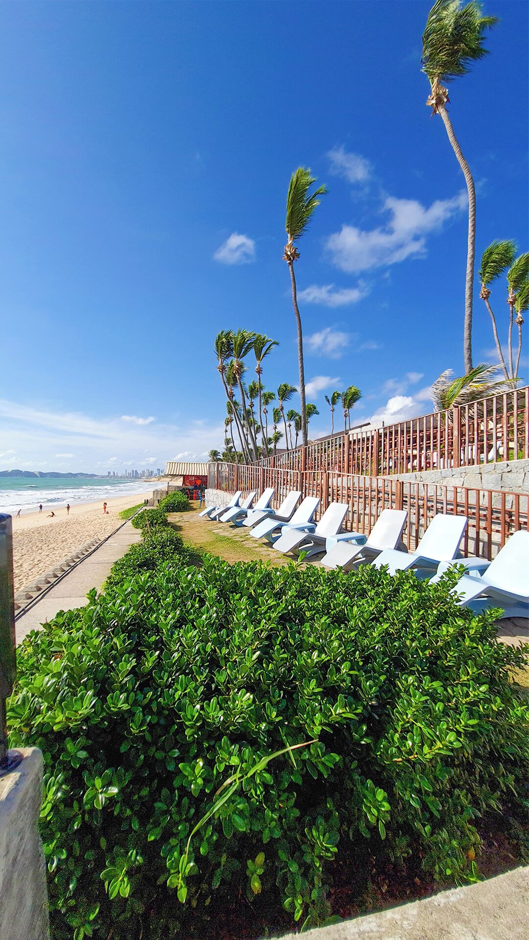 على الشاطئ، رمال بيضاء، مناشف للشاطئ، كرة طائرة على الشاطئ