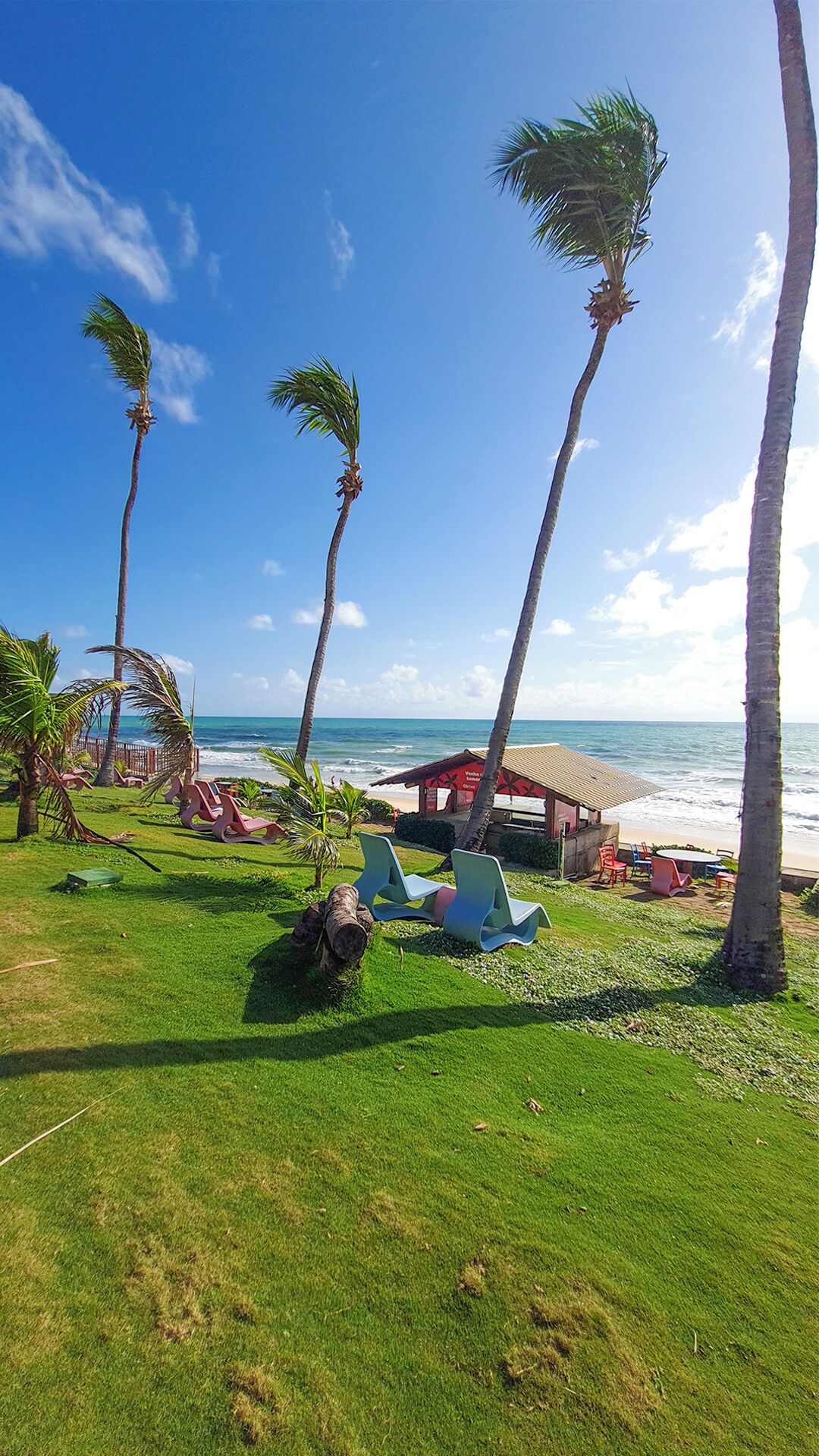 A beachside resort with palm trees, lounge chairs, and a small building with a red roof.