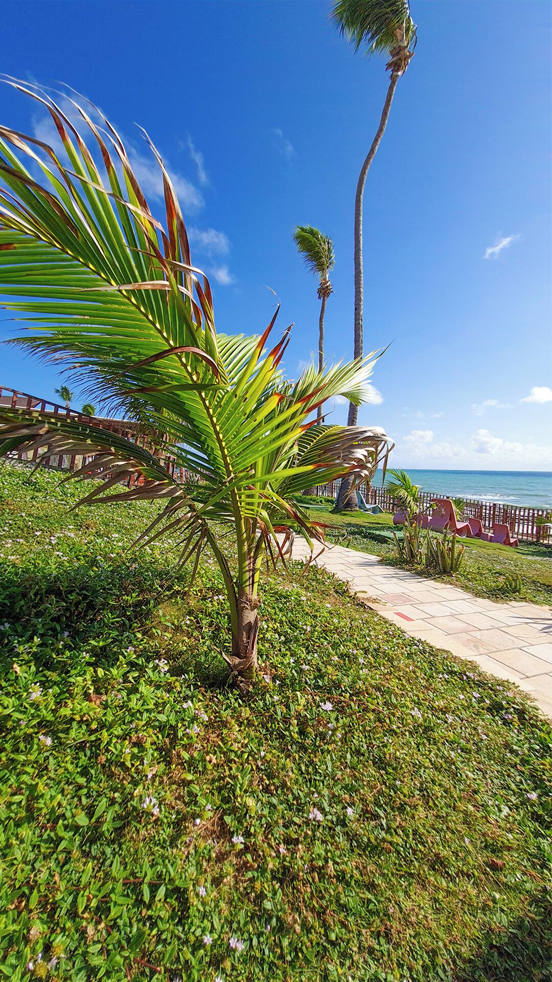 Foto - GoldMen Vila do Mar Natal