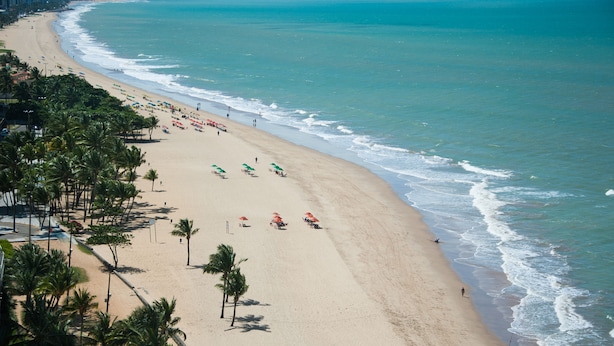 A beach with a row of palm trees, umbrellas, and a city skyline in the background.