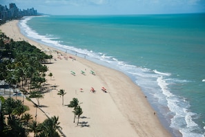 A beach with a row of palm trees, umbrellas, and a city skyline in the background. - Hotel Dan INN Mar Piedade By Nacional Inn (Jaboatão dos Guararapes)