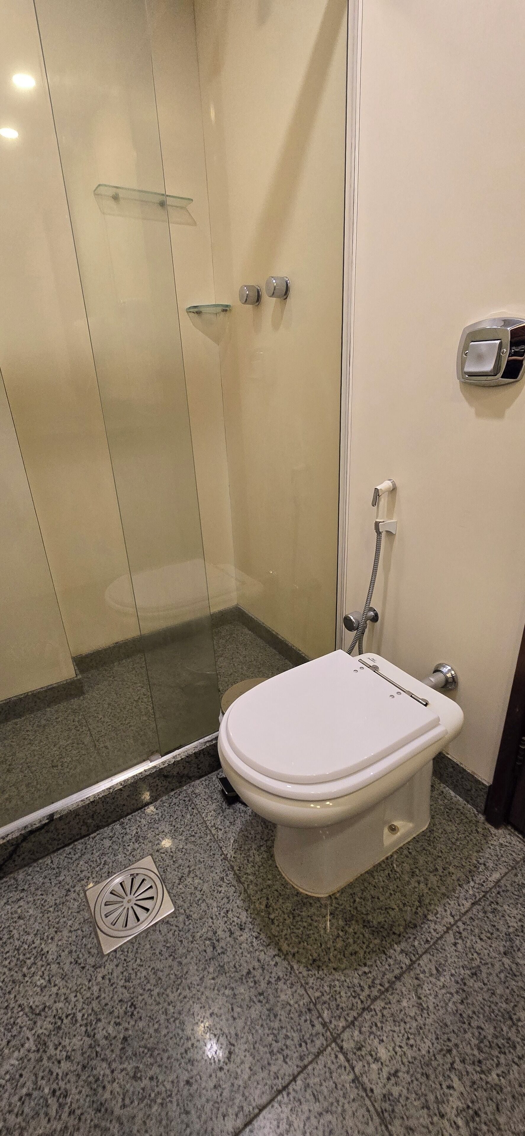 A bathroom with a toilet, a glass shower enclosure, and a hand dryer.