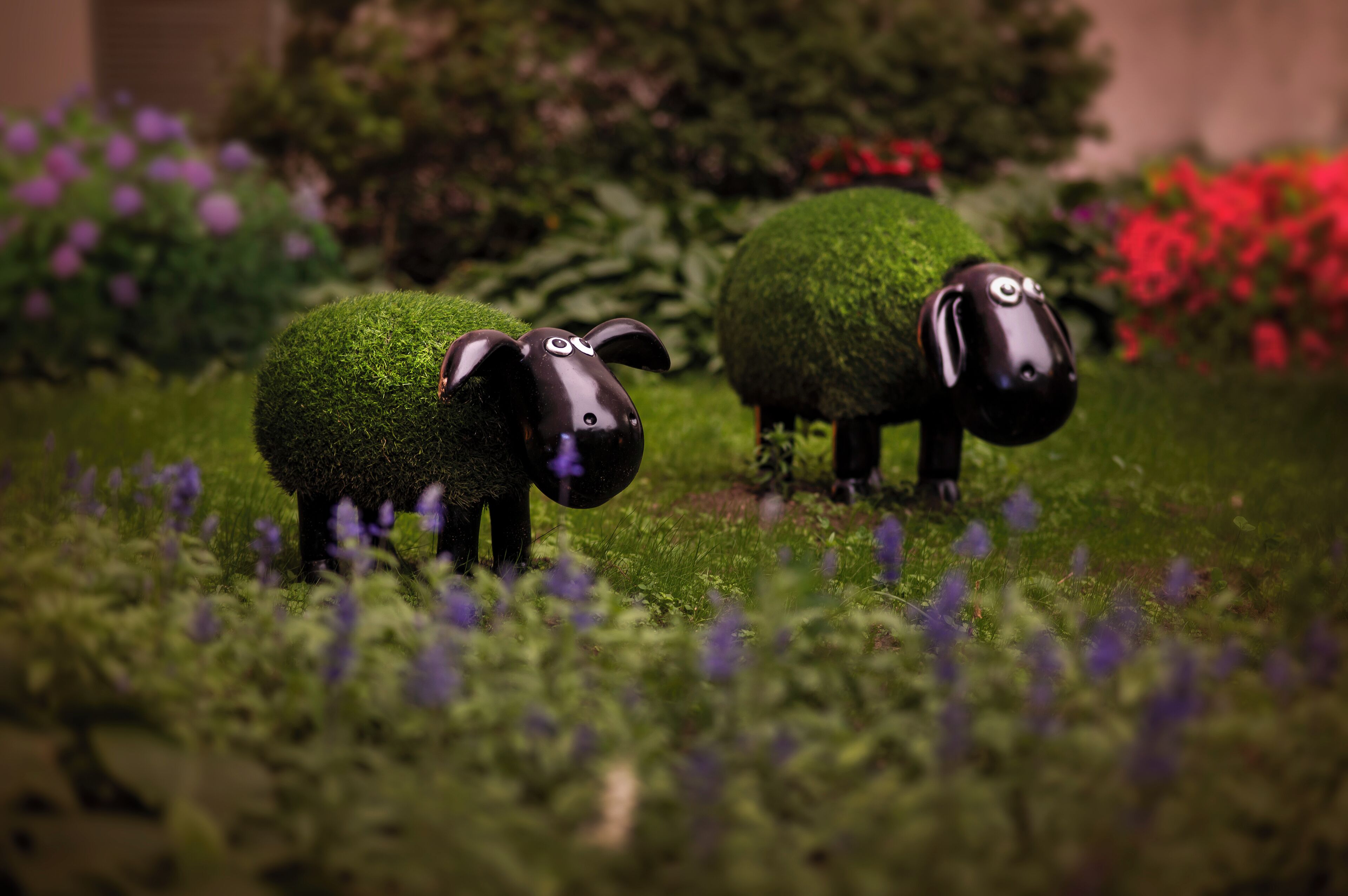 horizon club, room, 1 king bed | view from room