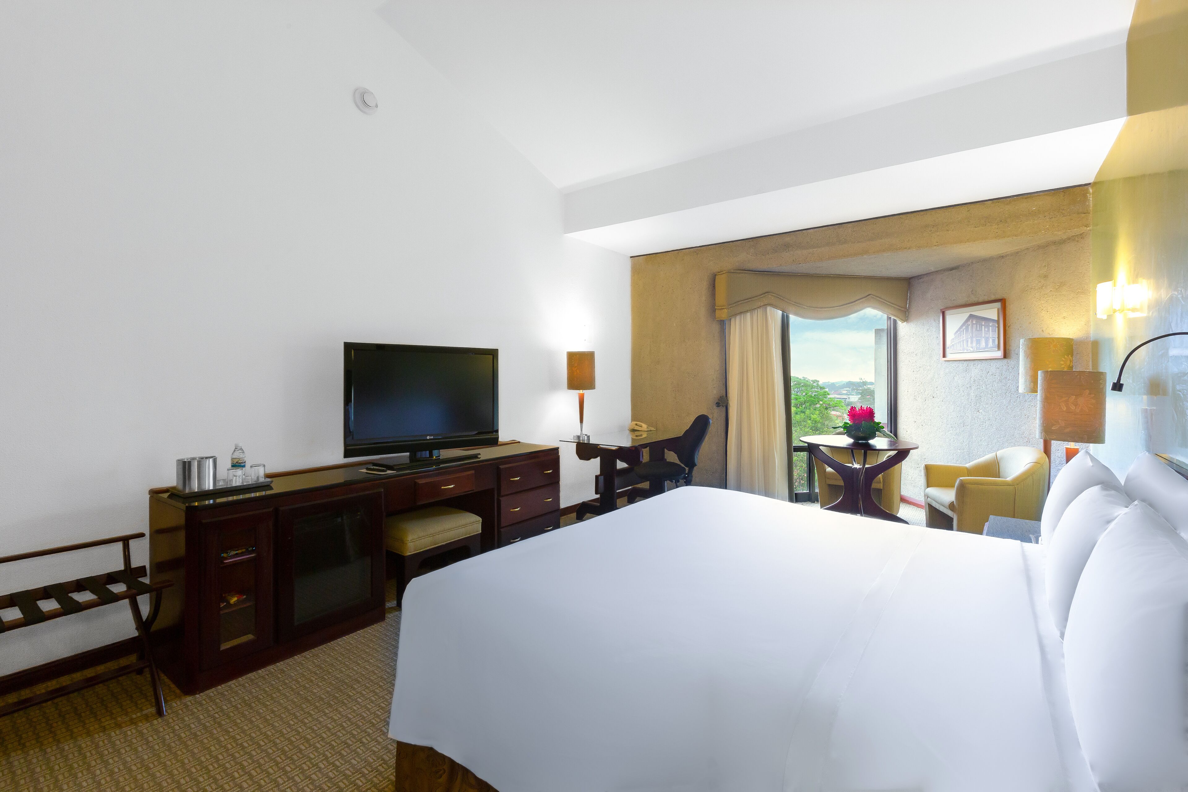 A hotel room with a large bed, a desk with a chair, a television, a small table with a plant, and a view of the outdoors.