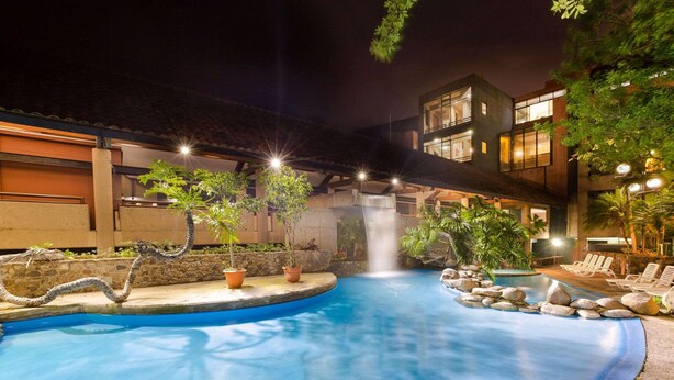 A swimming pool with a waterfall feature, surrounded by potted plants and lounge chairs.