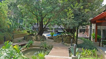 A landscaped garden with a wooden pathway, a small pond, and various plants.