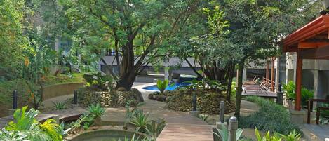A landscaped garden with a wooden pathway, a small pond, and various plants.