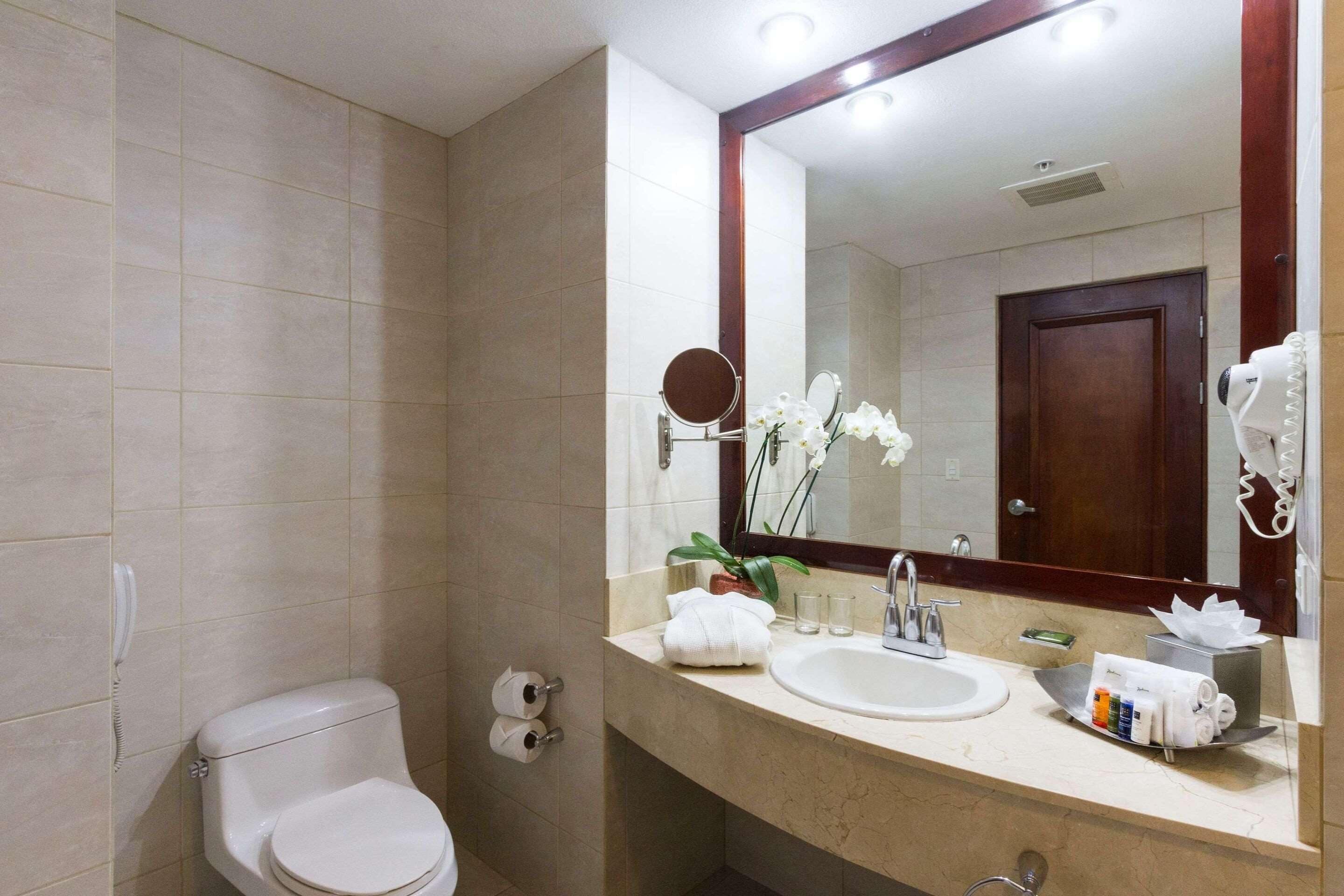 A bathroom with a toilet, sink, and mirror.