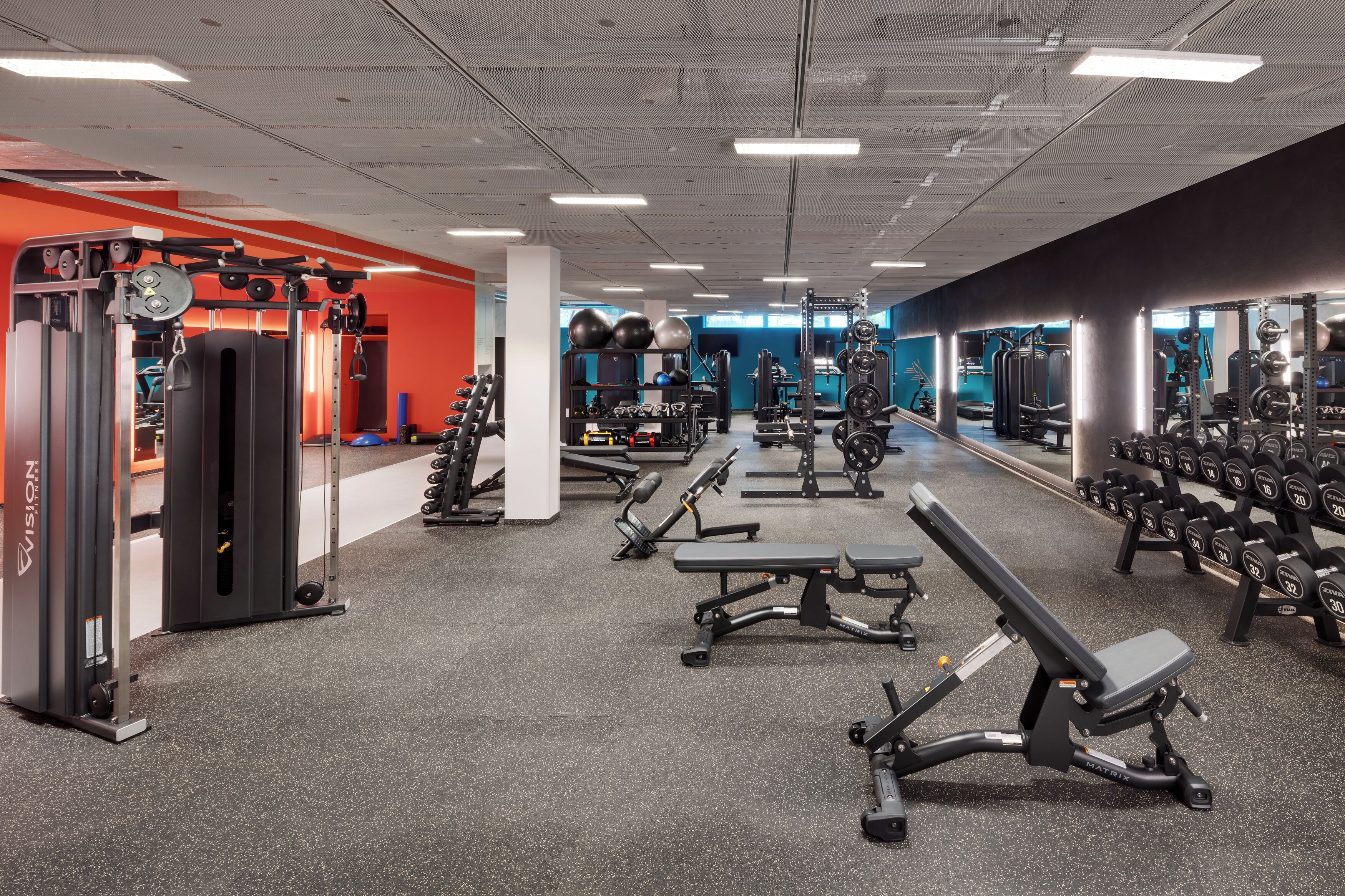 Un gimnasio con equipo de ejercicio variado, bancos y mancuernas.