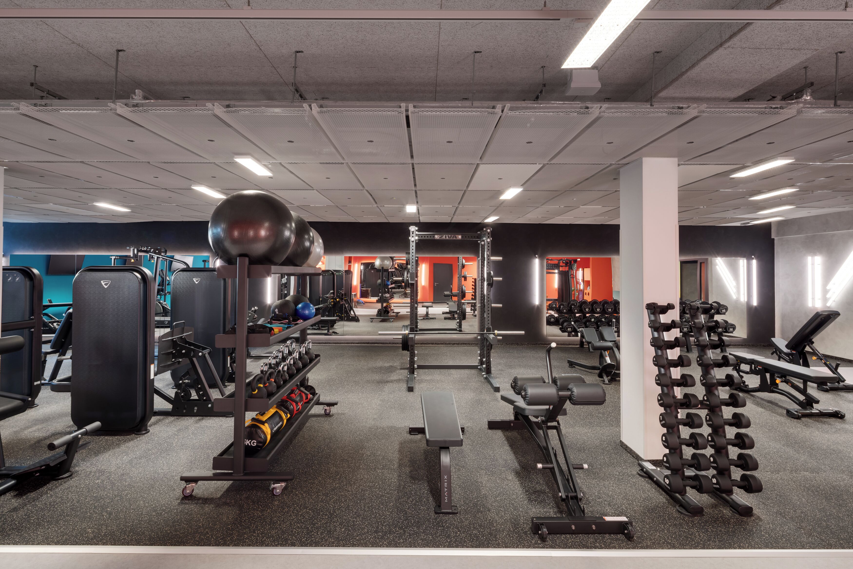 Un gimnasio con diversos equipos de ejercicio, incluyendo mancuernas, un banco y máquinas de pesas.