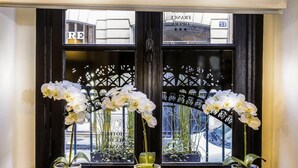 Three white orchids in white pots on a window sill. - Hotel Ile de France Opéra (Paris)