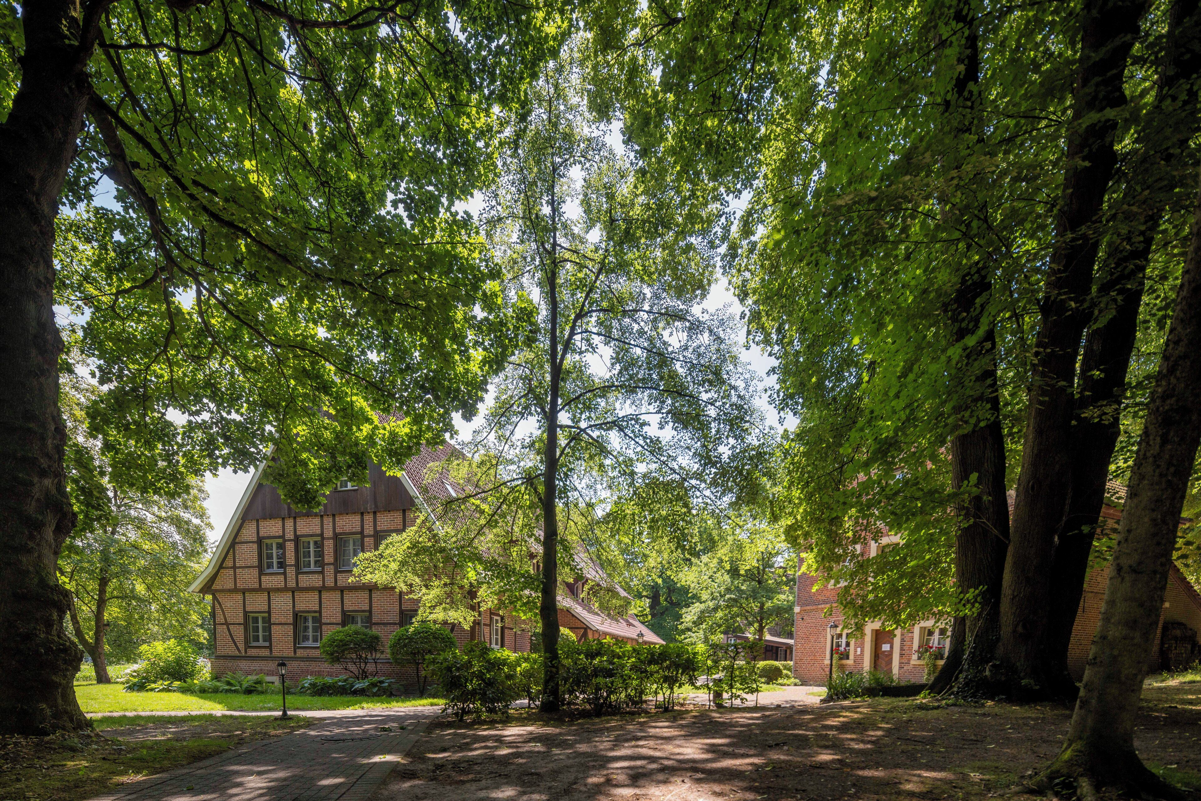 A pathway leading to a traditional half-timbered building surrounded by mature trees.