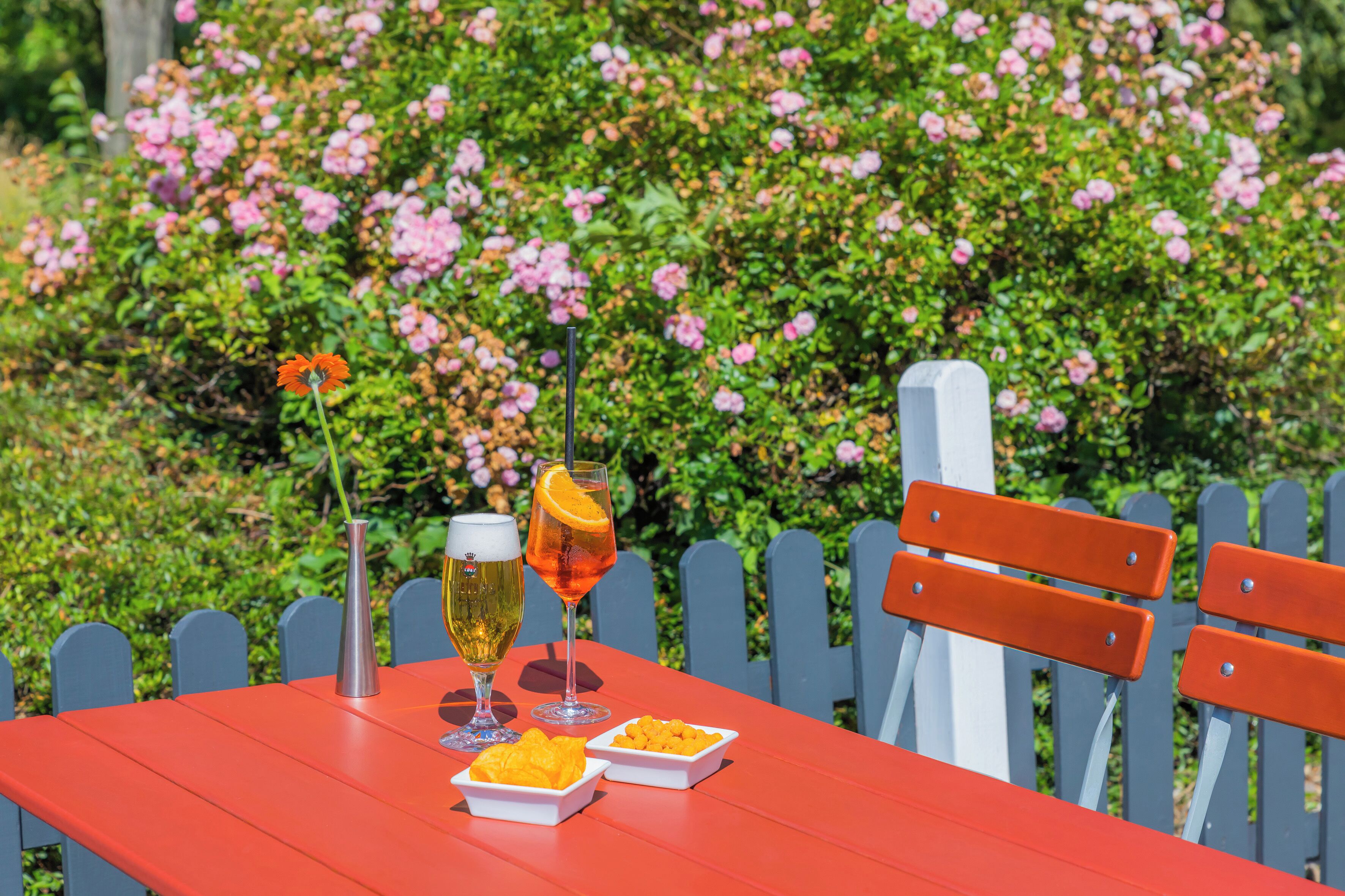 A red table with two glasses of beer, a glass of orange juice, and two small dishes of snacks.