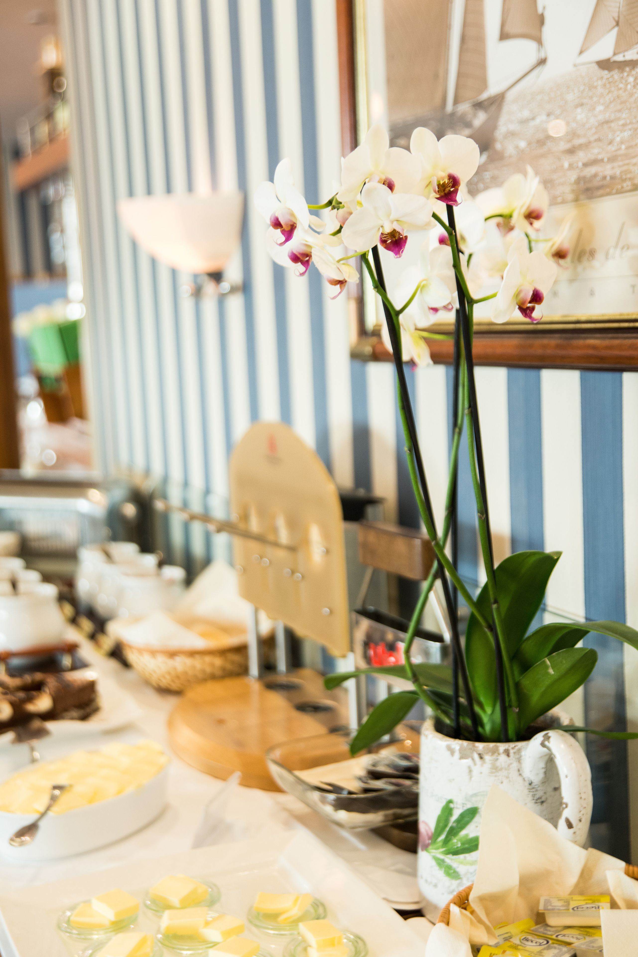 Una mesa de buffet con diferentes alimentos y un jarrón de orquídeas blancas.