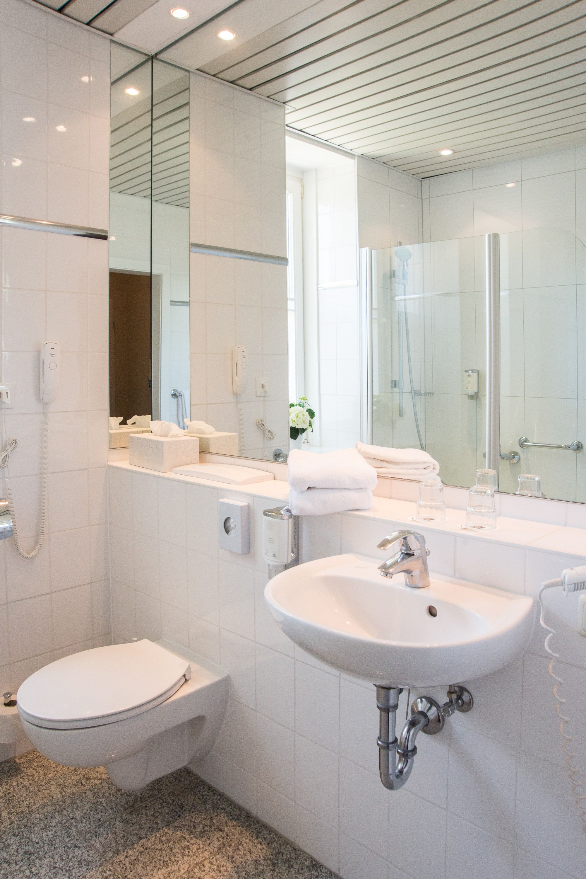 Un baño moderno con inodoro, lavabo y ducha.