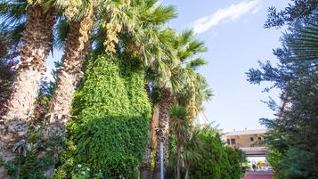 Junior Studio Suite | Garden view