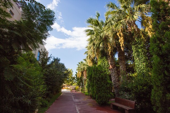 A pathway lined with palm trees and dense foliage, leading to a building with a blue door. - Alkyon Resort Hotel & Spa (Velo-Vocha)