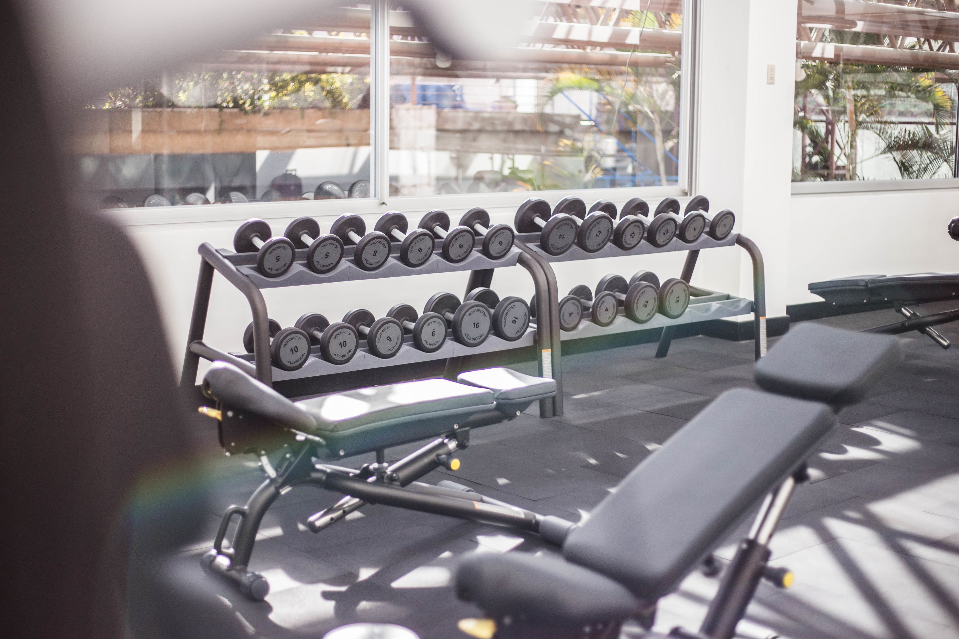 A gym with a bench and a rack of dumbbells.