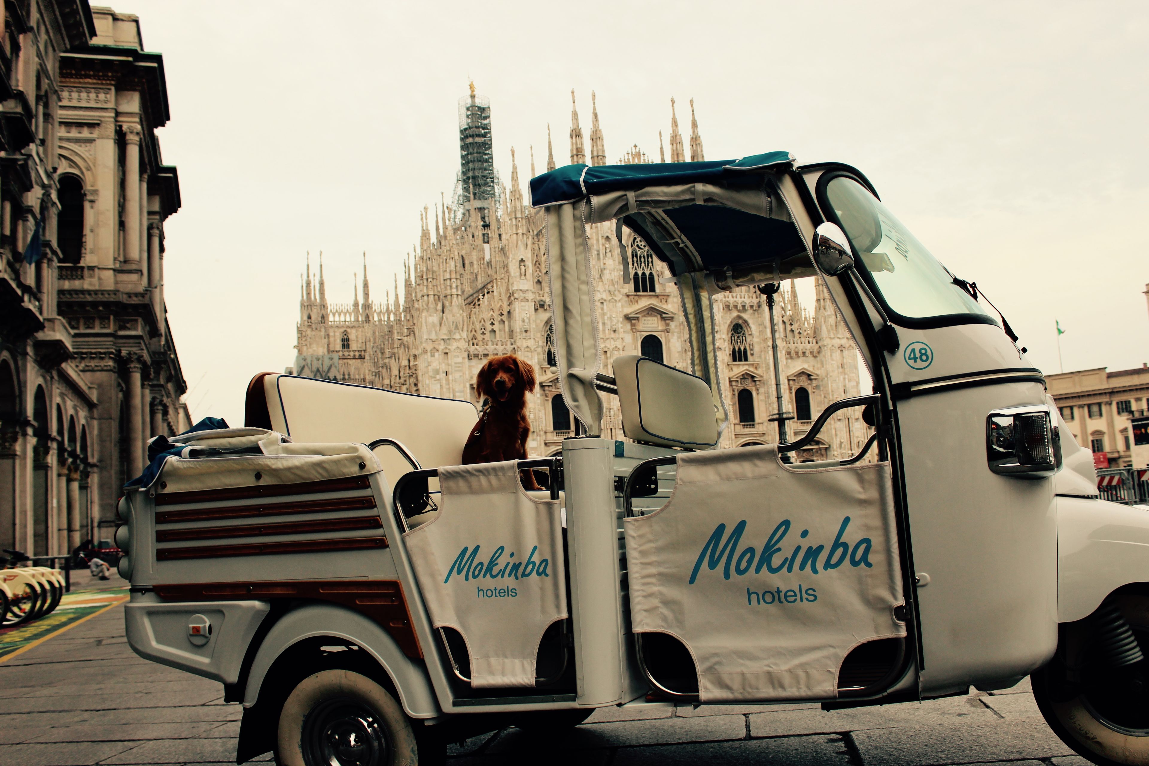 Foto - Mokinba Hotels Baviera