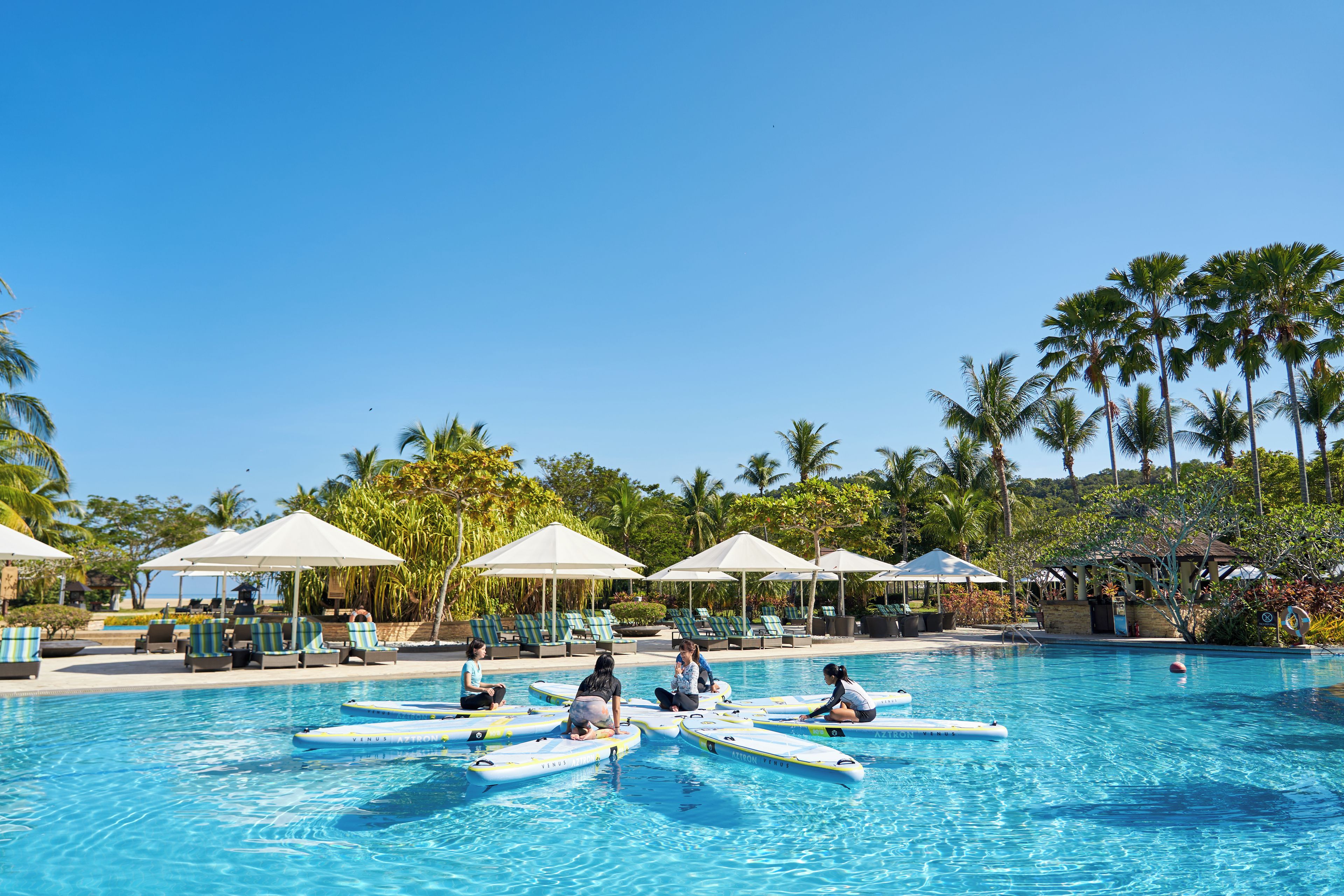 Una piscina con sillas de descanso y sombrillas, rodeada de palmeras.