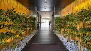 Un pasillo con piso oscuro, paredes de madera y plantas a ambos lados.