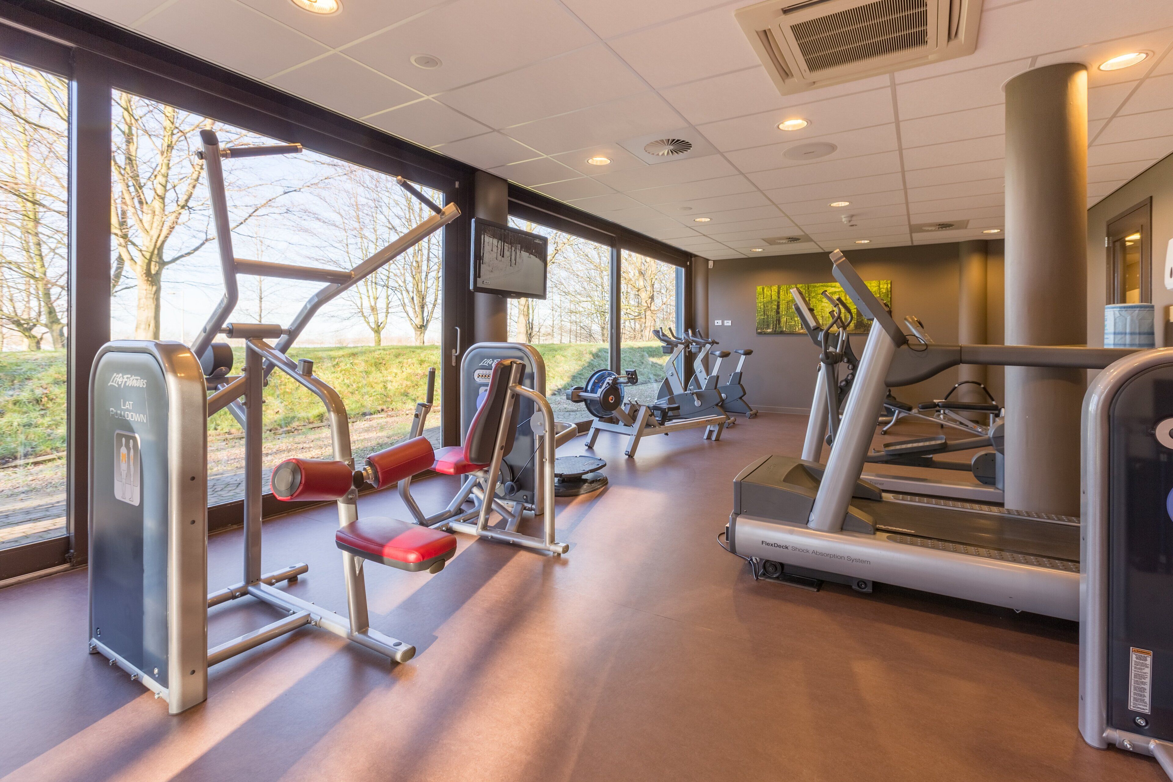 A gym with various exercise machines, large windows, and a view of trees outside.