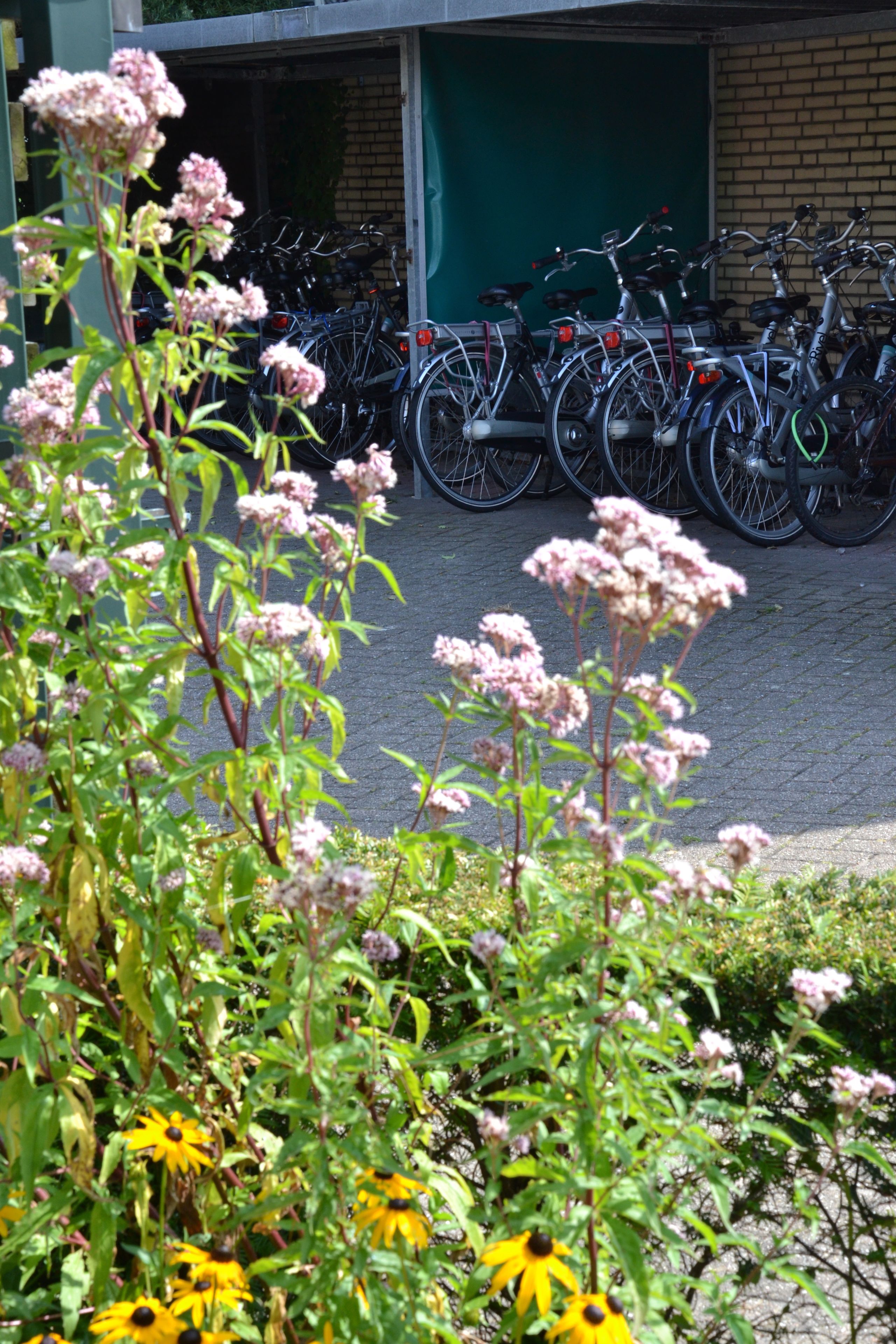 Foto - Fletcher Hotel Restaurant Carlton