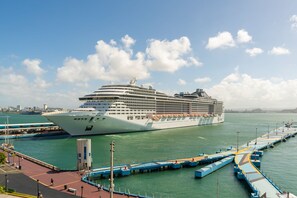 A large cruise ship docked at a port with a pier extending into the water.