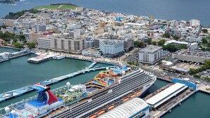 A cruise ship docked at a port with a cityscape in the background.