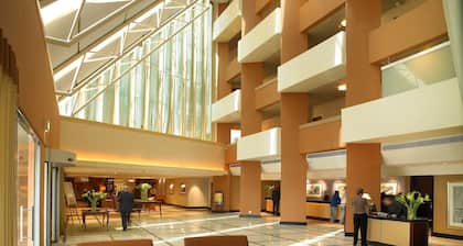 Southern Sun O.R. Tambo International Airport
