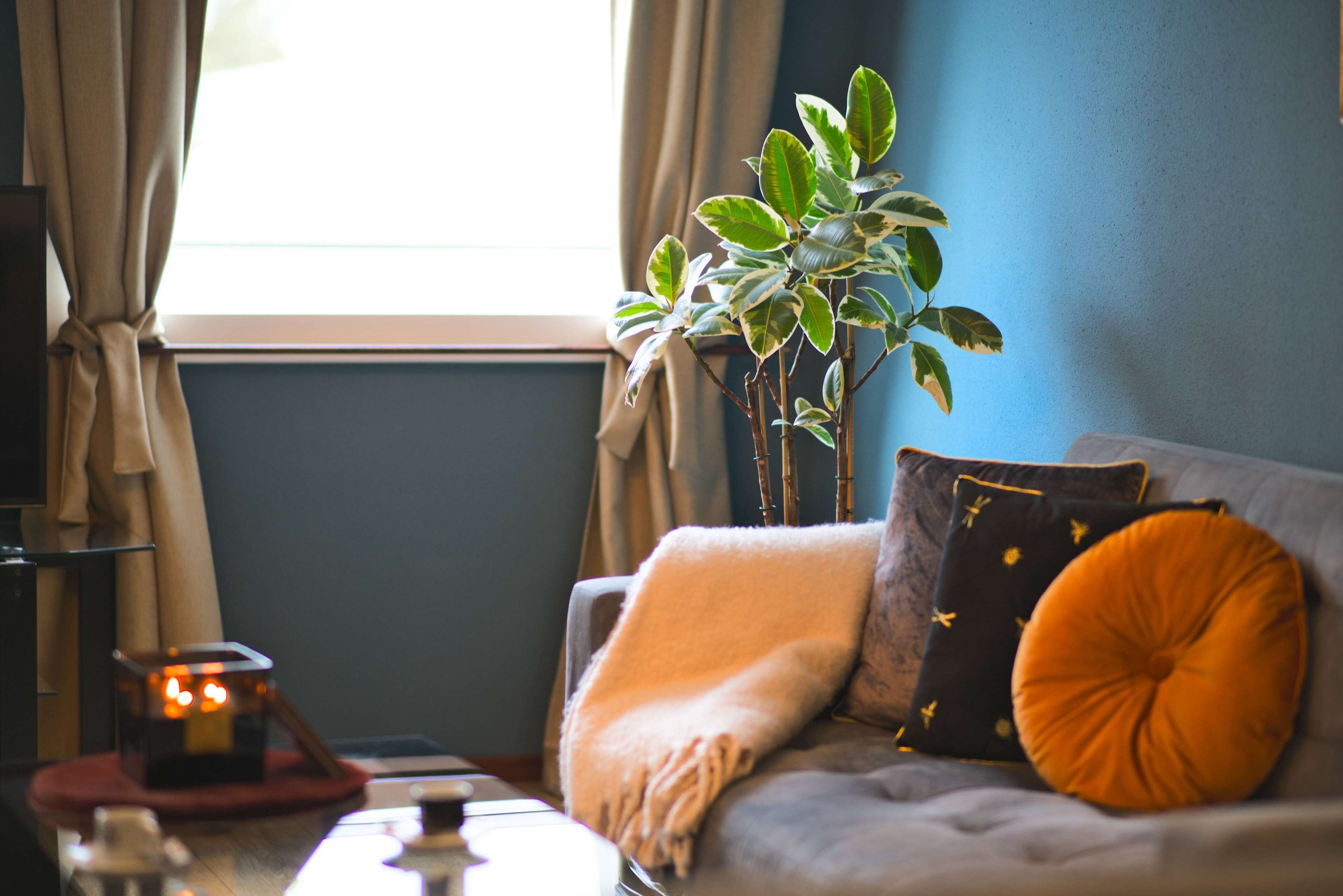 Photo - Tulip Inn Beaulieu Lausanne