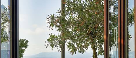 Breakfast, lunch, dinner served; garden views