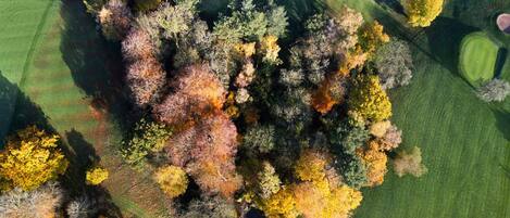 An aerial view of a golf course with a pond, surrounded by trees in autumn colors.