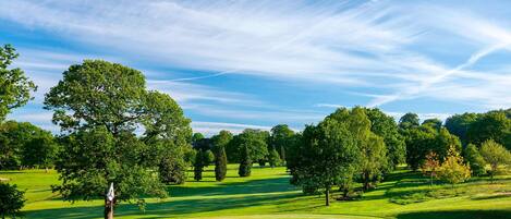 A golf course with a flagstick, trees, and a clear sky.