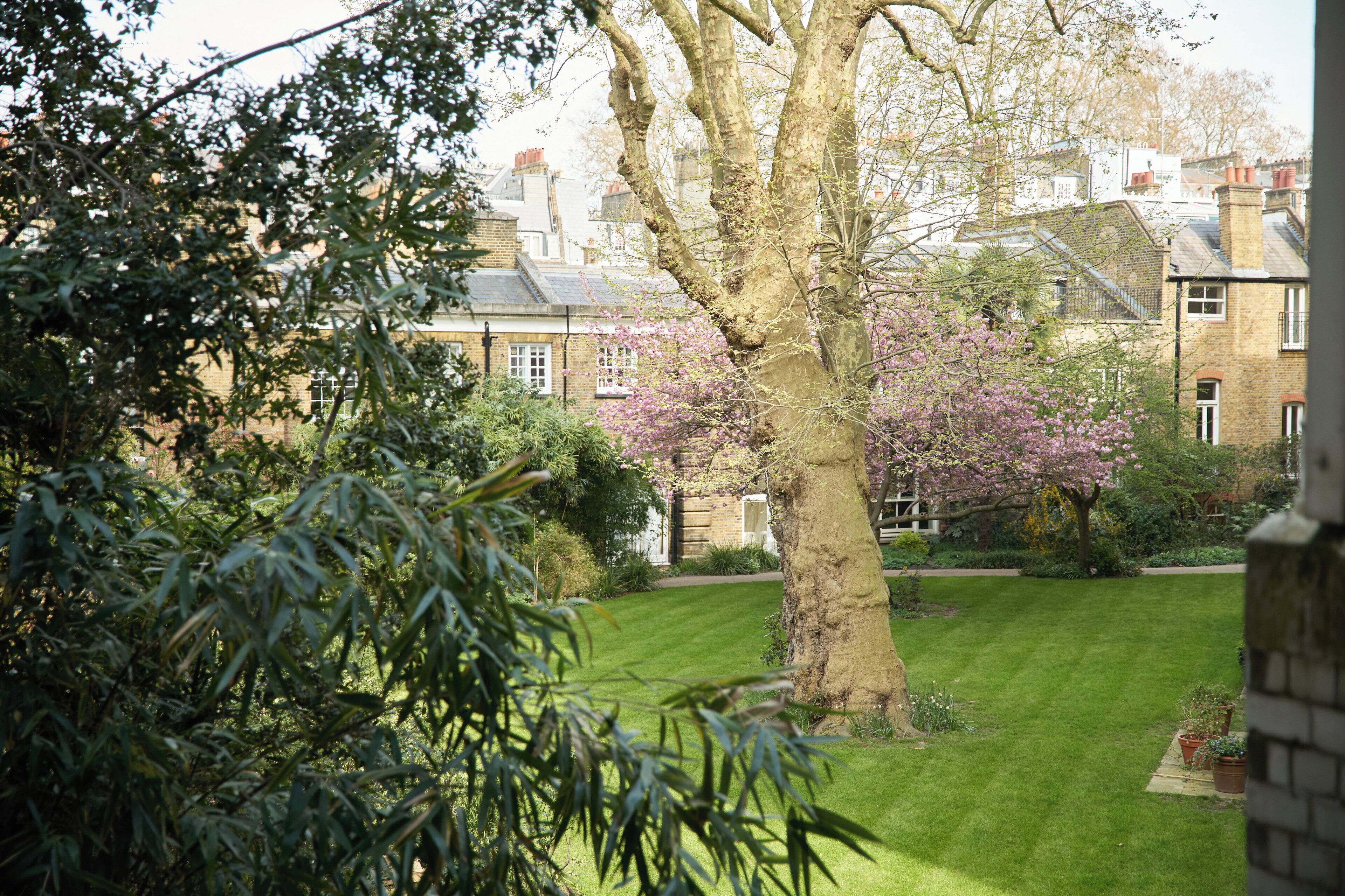 deluxe room, 1 queen bed | egyptian cotton sheets, premium bedding, down duvets, minibar