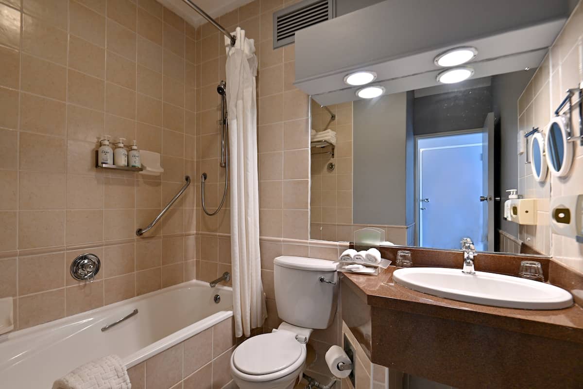 standard room | bathroom | combined shower/bathtub, deep-soaking bathtub, free toiletries