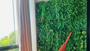 A room with a large window, a hammock, and a wall covered in green foliage. - Barrudada Tropical Hotel (Santarém)