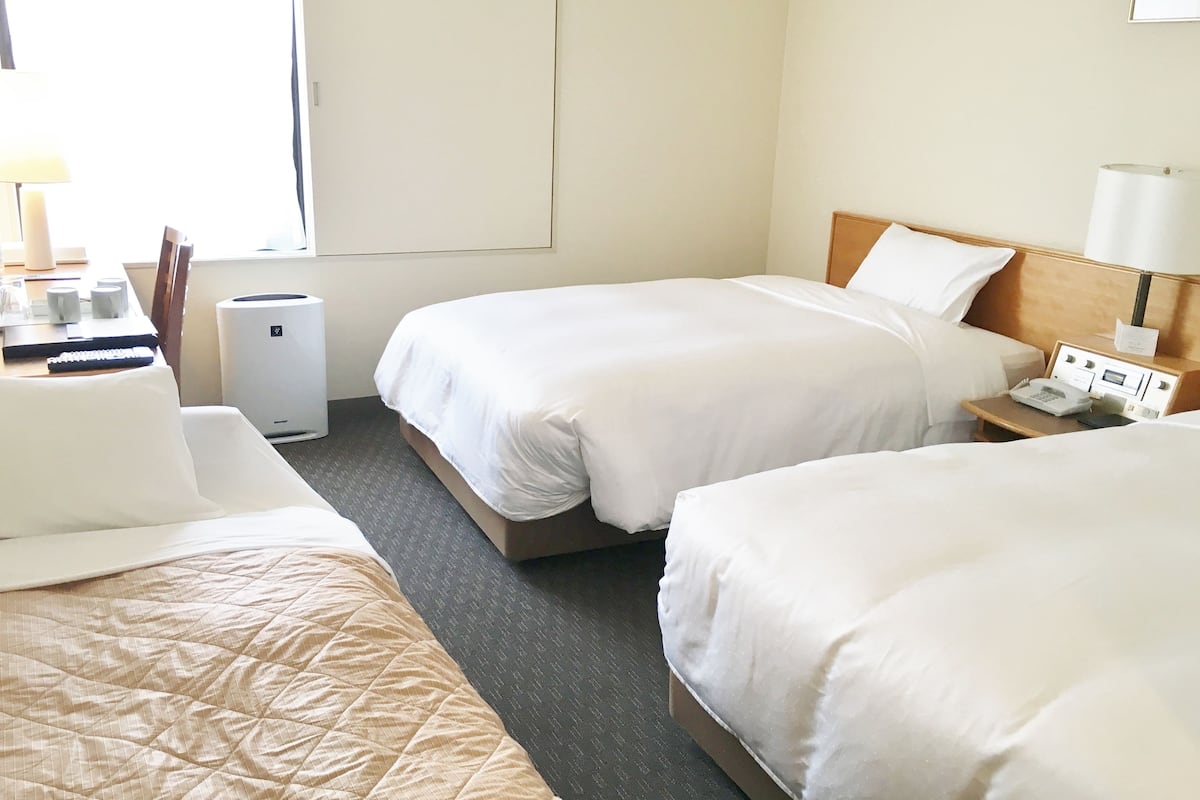 Down comforters, desk, iron/ironing board (on request), WiFi (free)
