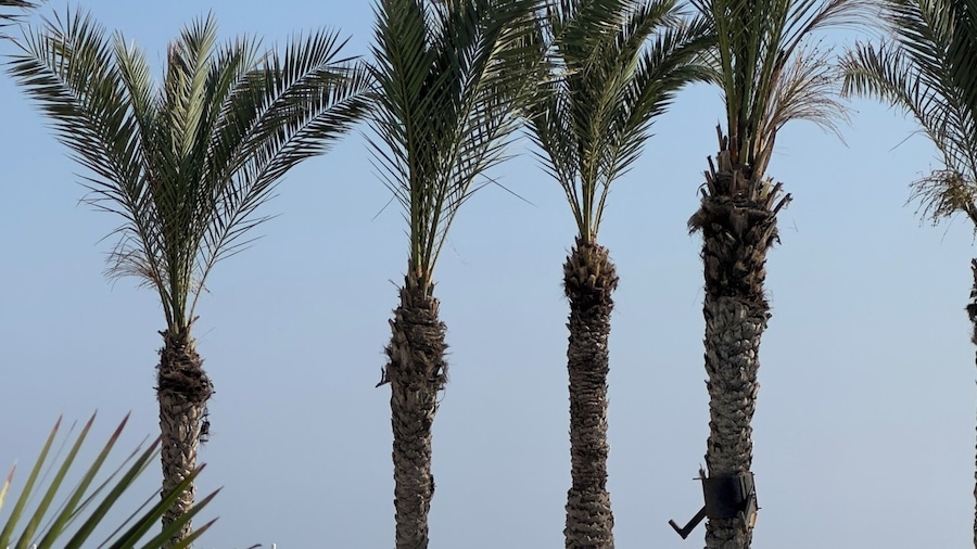 Riviera Hotel Beirut