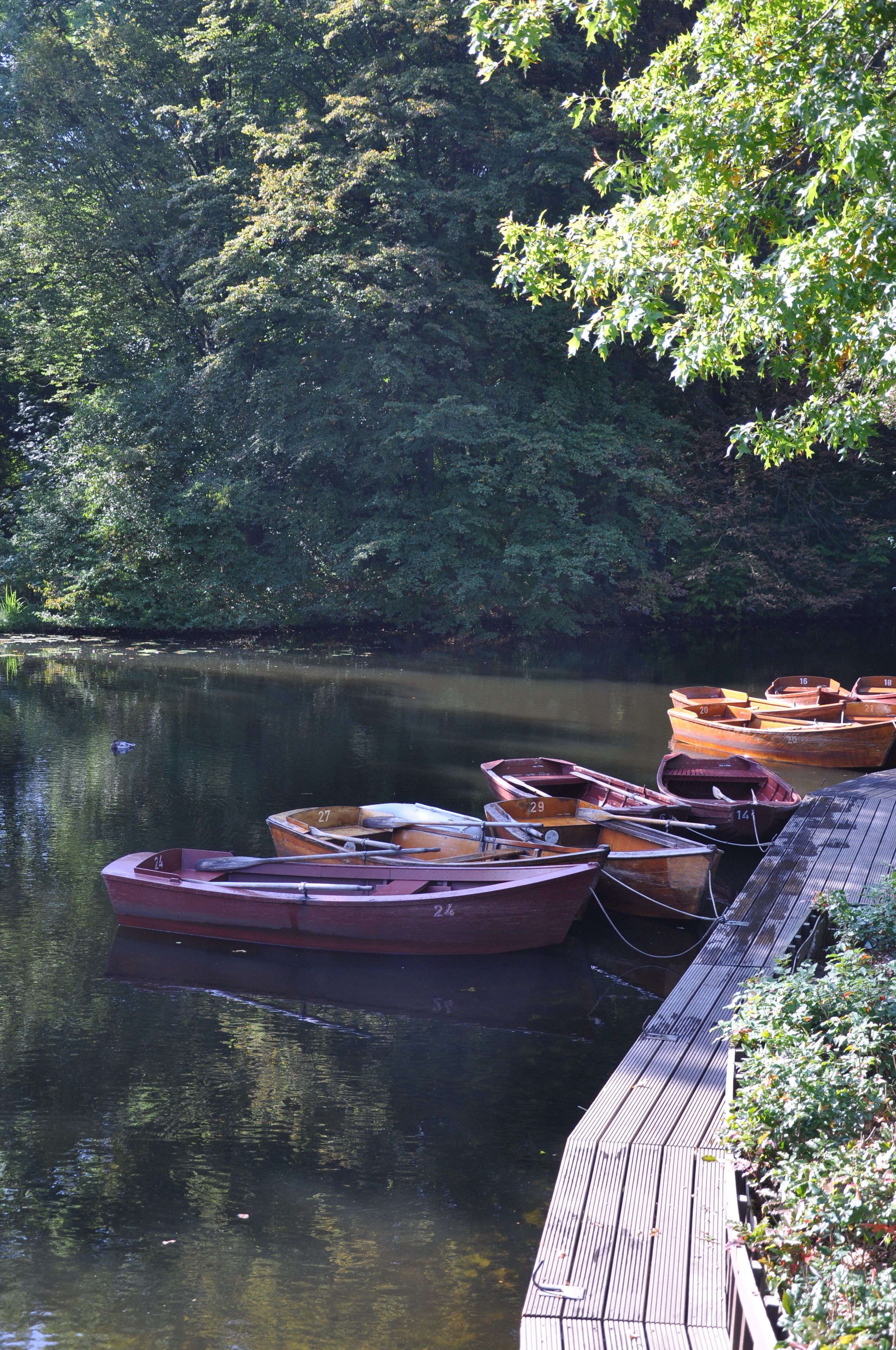 Foto - MUNTE - Wellnesshotel am Stadtwald