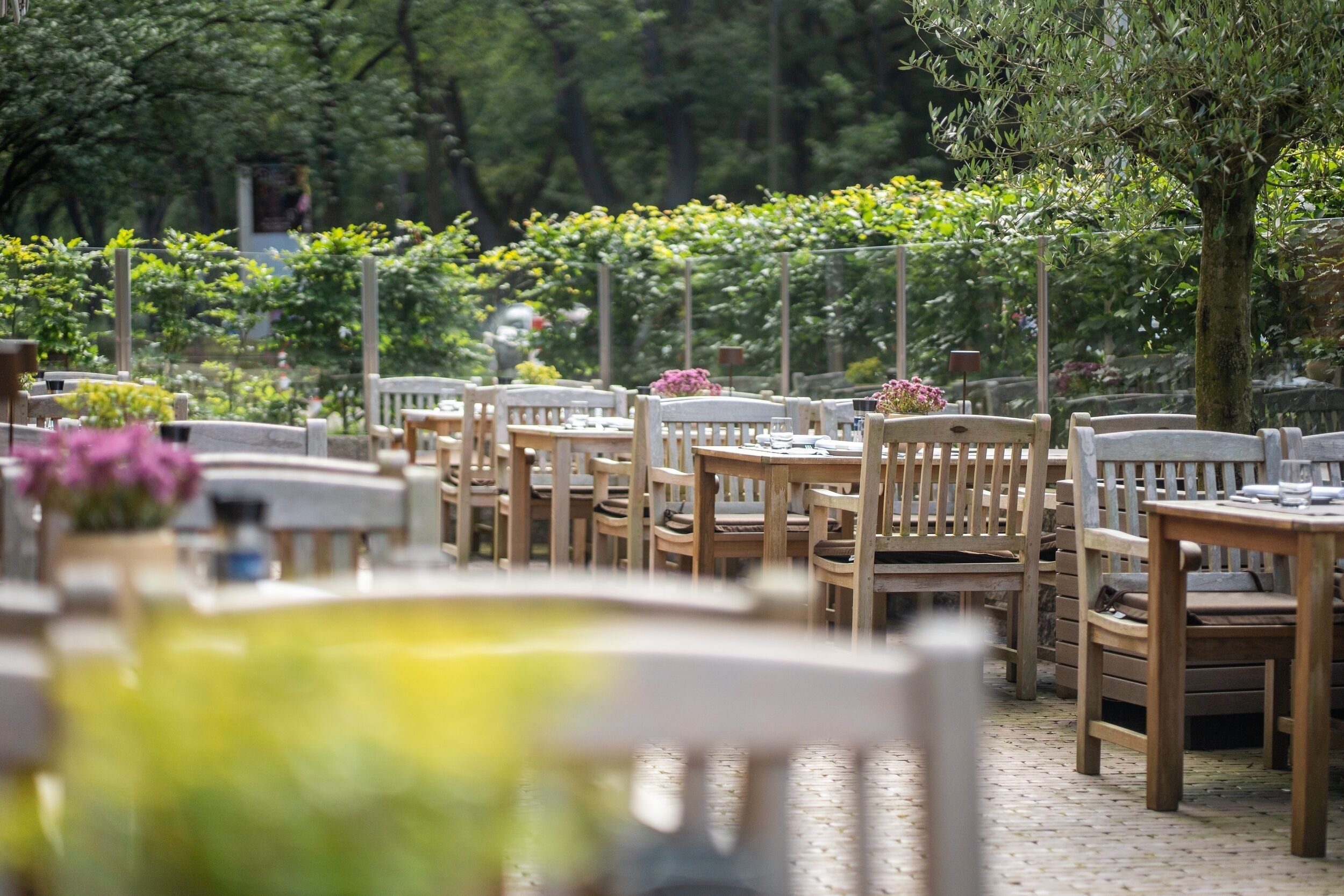 Photo - MUNTE - Wellnesshotel am Stadtwald