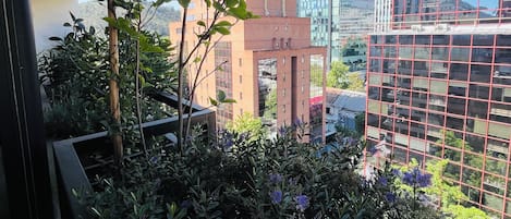 Deluxe Penthouse | Terrace/patio